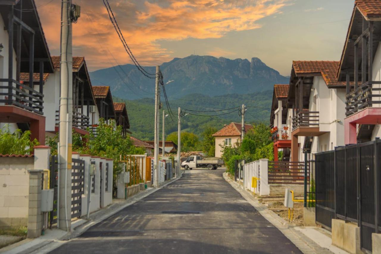 Casa Gabrielle Villa Călimăneşti Bagian luar foto