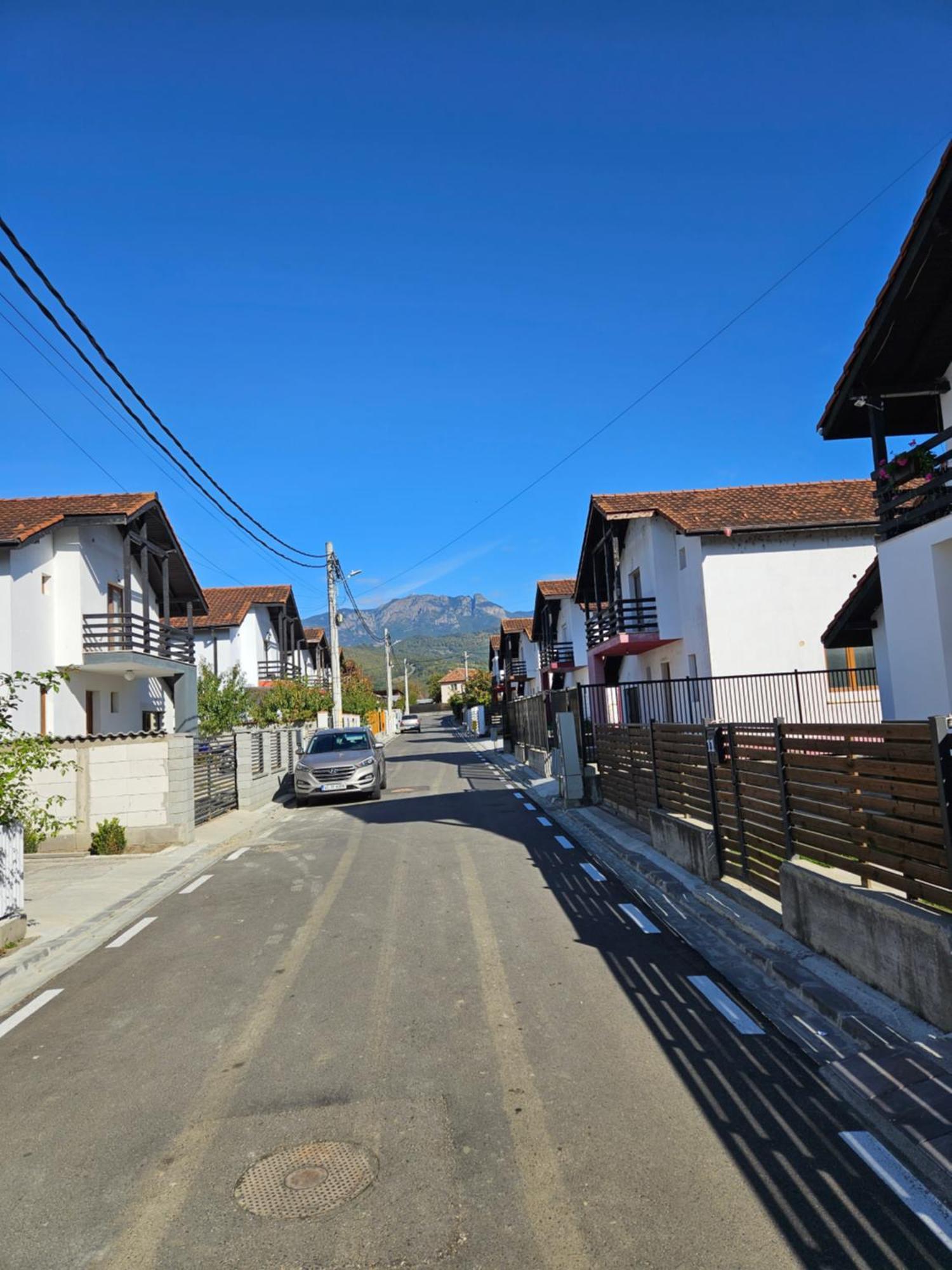 Casa Gabrielle Villa Călimăneşti Bagian luar foto